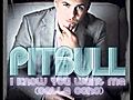 Pitbull featuring T-Pain Hey Baby wmv | BahVideo.com