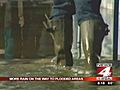 Louisiana flooding NE snowstorms | BahVideo.com