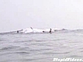 Shark Plays Jump The Surfer | BahVideo.com