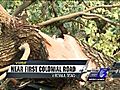 Storms blow through Hampton Roads | BahVideo.com