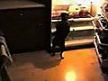 The midnight pizza burgler | BahVideo.com