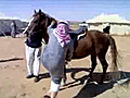 Arab Man Struggles to Mount a Horse | BahVideo.com