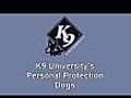 K9U Protection Dogs - Annie | BahVideo.com