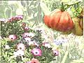 C t jardins mission du 10 actobre 1997 | BahVideo.com