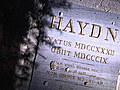 Haydns Kopf Ein Film von Ute Gebhardt | BahVideo.com