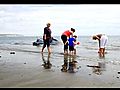 On the Beach at Shanklin | BahVideo.com