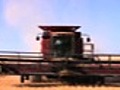 Combine in wheat field | BahVideo.com