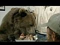 Best Friends With A Grizzly Bear | BahVideo.com