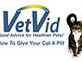How To Give Your Cat a Pill - VetVid Episode 020 | BahVideo.com