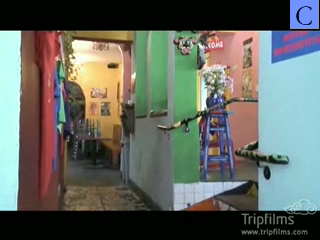 Tap Tap Haitian Restaurant Miami Beach | BahVideo.com