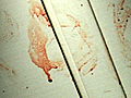 On the Case with Paula Zahn Message In Blood | BahVideo.com