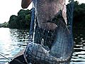 Jen s - Big Cat fish Elite Rod Holders  | BahVideo.com