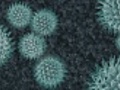 HD - Animation of Virus Loopable  | BahVideo.com