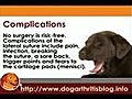 Dog Arthritis Cruciate Ligament Surgery | BahVideo.com