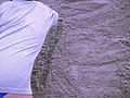 T At The Beach | BahVideo.com