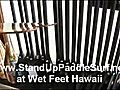 Stand Up Paddles at Wet Feet Hawaii - Part 2 | BahVideo.com