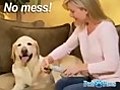 PediPaws - Pet Grooming Clipper As Seen on TV | BahVideo.com