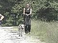 Pet Detective Tracks Down Missing Dog | BahVideo.com