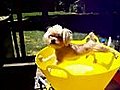 Dog Won t Take a Bath | BahVideo.com