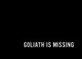 Goliath The Movie - Interview with Nathan Zellner | BahVideo.com