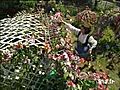 Le Jardin de Blanche Neige | BahVideo.com