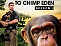 Escape to Chimp Eden Season 1 Disc 1 | BahVideo.com