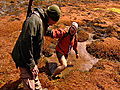Dual Survival Bog Hole Danger | BahVideo.com