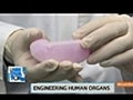 Human Organ Tissue Engineering | BahVideo.com