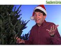 Grumpy Gardener How To Choose a Christmas Tree | BahVideo.com