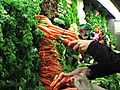 Foods to Eat Organic | BahVideo.com