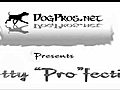 Potty Pro fection Saving Dogs Lives | BahVideo.com