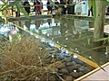 La piscine naturelle exit les produits chimiques | BahVideo.com