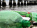 Climate Quiz Plastic Oceans | BahVideo.com