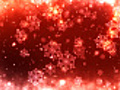 Abstract Red Snowflakes Christmas Background | BahVideo.com