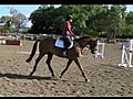 Equestrian Tournament | BahVideo.com