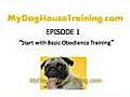 Dog House Training - Start with Basic  | BahVideo.com