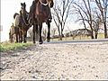 Couple Treks Cross-Country On Horseback | BahVideo.com