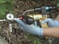 Arborjet s precision weapon against invasive  | BahVideo.com