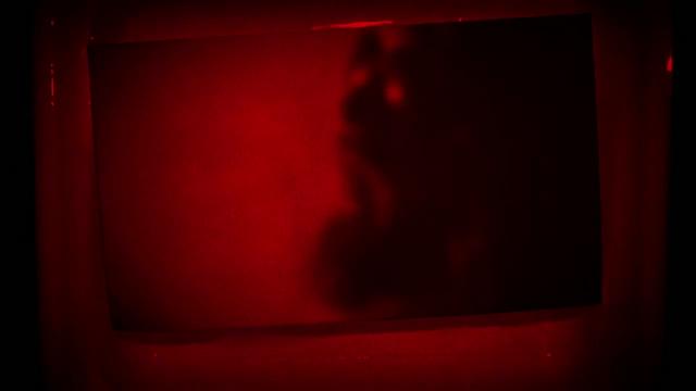 Kava Kava - Clarity | BahVideo.com