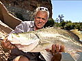 River Monsters Catching a Barramundi | BahVideo.com
