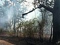 TFS Grimes County wildfire 95 percent contained all evacuation orders lifted | BahVideo.com