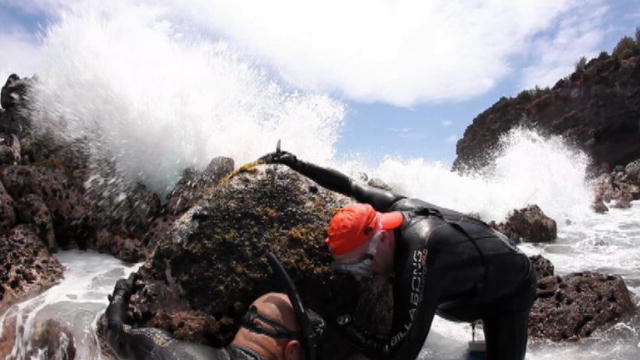 After The Catch 5 Hawaii s Deadliest Catch | BahVideo.com
