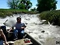 Impressionnant des poissons volants  | BahVideo.com