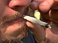 New study finds marijuana reduces pain | BahVideo.com