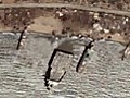 Google Earth Ship Breaking Yard | BahVideo.com
