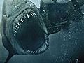 Shark Night 3D Trailer  | BahVideo.com