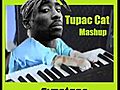 Keyboard Cat vs Tupac Mashup - Gypsteez  | BahVideo.com