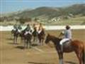 The Sport of Polo Part 2  | BahVideo.com