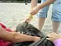 Rogazzate pazze in spiaggia  | BahVideo.com