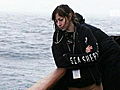 Whale Wars Ladies of Sea Shepherd | BahVideo.com